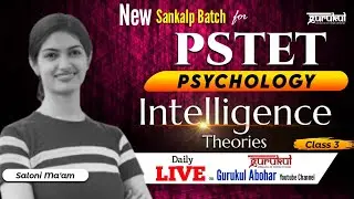 PSTET 2026 | Child Development and Pedagogy | Psychology | Intelligence 03