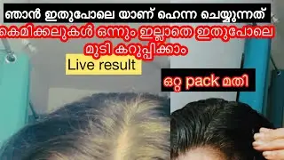 ഇതുപോലെ ഹെന്ന ചെയ്താൽ ഒറ്റ pack മതി മുടി കറുപ്പിക്കാൻ |natural dye at home.