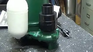 RDLG Remplacement d'une pompe submersible Zoeller dans mon garage.