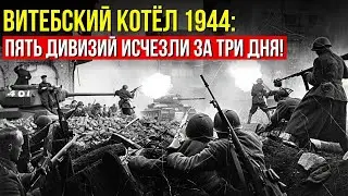 Витебский котёл 1944: как пять дивизий были уничтожены за три дня?