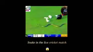 Snake in the live cricket match of Lanka Premier League 😱 | #shocking #viral #today #youtubeshorts