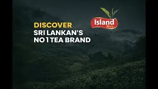 Discover Sri Lanka&rsquo;s No.1 Premium Ceylon Tea | Island Tea 🇱🇰 #tea #ceylon #ceylontea