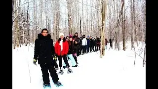 Invierno Puma 2019 en la UNAM-Canad&aacute; - UNAM Global