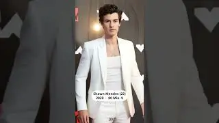 Shawn Mendes &ndash; Vom Vine-Talent zum Weltstar | Ages of Fame (2013 &ndash; 2025)