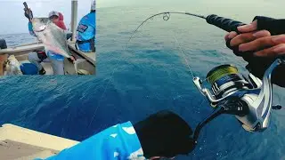 SHIMANO SARAGOSA SW6000HG VS DIAMOND TREVALY || FULL DRAG‼️