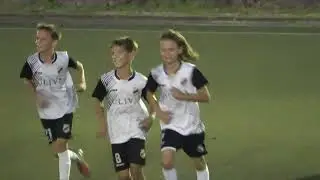 Чукарички 2012 - Петлић 2012  - 2:0 (Финале)