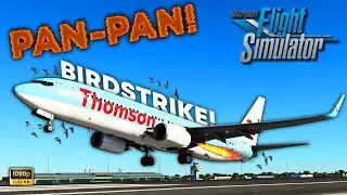 ENGINE FIRE! Birdstrike takeoff out of MENORCA! | TUI PMDG 737 800 | Microsoft Flight Simulator 2020