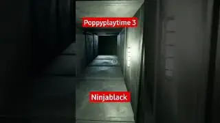 Poppyplaytime 3 #games #poppyplaytime #projectplaytime