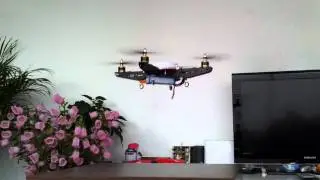 First Flight Gaui 330X-S