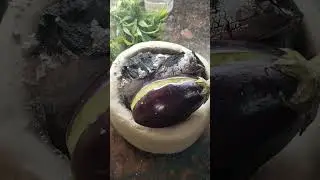 देसी स्टाइल से दो तरीके की चटपटी मजेदार रेसिप दुनिया में किसी भी जगह हो इसे ट्राई कर सकते हैं