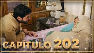 Hercai - Capítulo 202