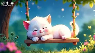 Warm Hugs - Sound Asleep Official
