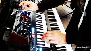 Behringer Model D