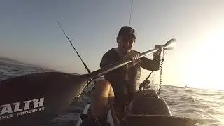 Rod Holders