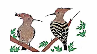 How to draw Hoopoe Birds| Hoopoe Bird Drawing| Birds on Tree| Hoopoe Birds