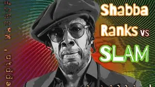 Shabba Ranks vs SLAM - painkillin' dancehall (steppin' Mashup edit)
