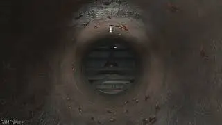 3 Hour - Resident Evil 2 Remake - Cockroaches in Large Pipe Ambience