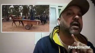 وأخيرا فعلتها مخنونة شرات سيارة ودوزات البريمي ضدد في نادية جمعو بعركم راكم اديتو البهائم عزيز