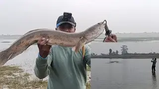 Murrel Ka shikar 🎣🎣