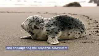 World Meteorological Organization Maritime Safety Video for the WMO - IMO