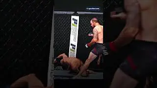 UFC Highlights: Best Moments in the Octagon