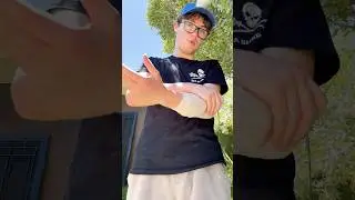 How to survive a snake bite #snake #australia #survival
