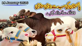 18 January 2026 Pakistan Ki Sab Say Bari Mandi || Sabir Khan 