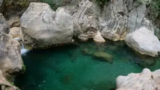 KAPIZ (SAKLICENNET) BOZYAZI 2021