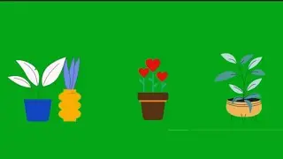 Green Screen Animated Potted Plants | #greenscreen #plants #chromakey #viral