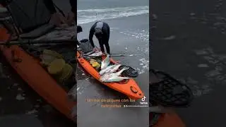Ojal&aacute; les gusten mis videos de pesca artesanal y en kayak desde chile 7ma regi&oacute;n