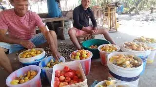 SAFRA DO CAJU E A PRODUÇÃO DA CAJUINA POREM FALTA O MOINHO