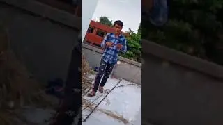 Mai haske kediva
