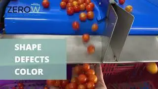 Tackling Ugly Food Waste with Cutting-Edge Innovation