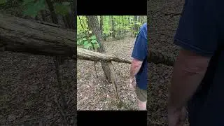 Mountain Road.      #bigfoot #treestructure #sasquatch #treebreaks #virginia ##appalachianmountains