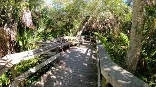 Mahogany Hammock Boardwalk Trail at the Everglades