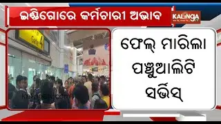 IndiGo Cancels 200 Flights, Blames 'Flight Duty' Audit for Operational Impact | Kalinga TV 