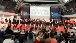 Black Diamond - D.S.Studio (Diamond)