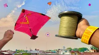 Kite Flying On Sunday | Kite Fighting | Kite Catching | Kite Cutting 