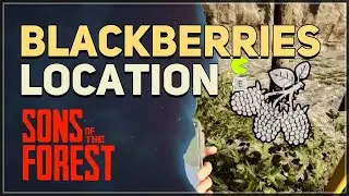 Blackberries Location Sons Of The Forest