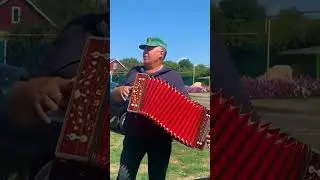 Старинная песня до слез Всю жизнь ее поет!  и мурашек на нижегородской гармони #гармонь