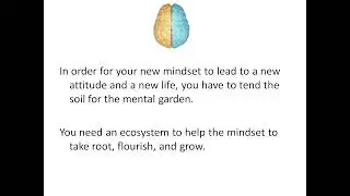 Unlock Your Potential: Building a Supportive Ecosystem for Growth Mindset Mastery