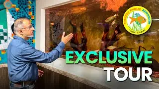 Exclusive Private Tour| Chennai Public Aquarium