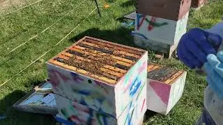 A 5-Minute Tutorial on How to Super Up a Hive