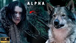 Wolf Or Insane ki Dosti ( Alpha 2018 Movie explain in Hindi Urdu ) movie explain