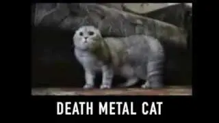 DeathMetal Cat (Lorna Shore -Life of Fear)