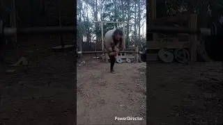 one arm one leg flying zercher people eater. also 225 x13 normals