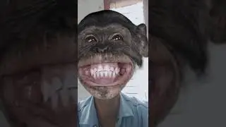 mawakalipothundhi funny face 😂🤣😭 #trending vivan #funny #shorts