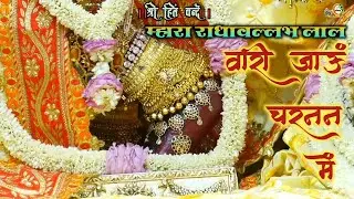 म्हारा राधावल्लभ लाल वारी जाऊं चरनन में // Shri Radha Vallabh mandir Vrindavan