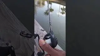 Lew's Classic Pro Speed Spool and Berkley Lightning 6'6