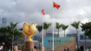 UK expert: National security law for HKSAR is a matter of China's core interests